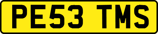 PE53TMS