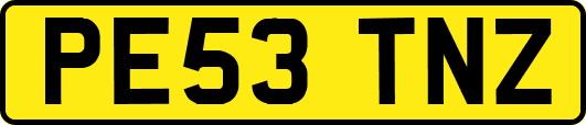 PE53TNZ