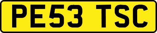 PE53TSC