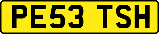 PE53TSH