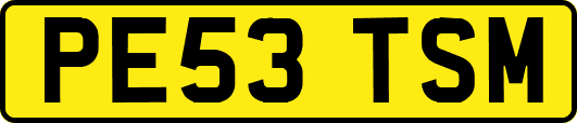 PE53TSM
