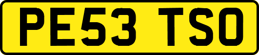 PE53TSO