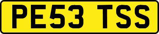 PE53TSS