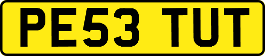 PE53TUT