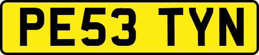 PE53TYN