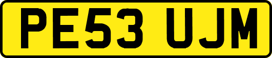 PE53UJM
