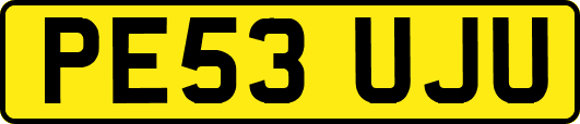 PE53UJU