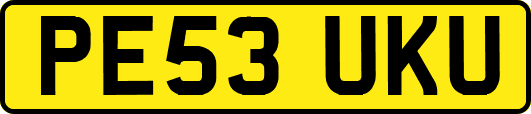 PE53UKU