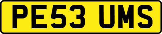 PE53UMS
