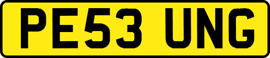 PE53UNG