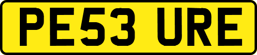 PE53URE