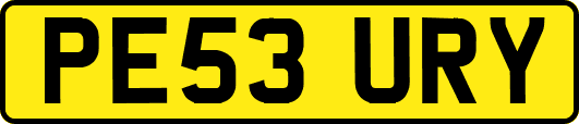 PE53URY