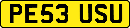 PE53USU