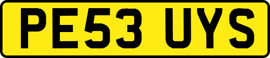 PE53UYS