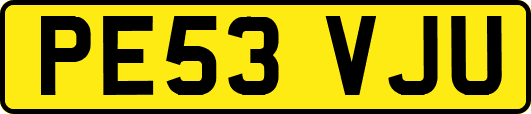 PE53VJU