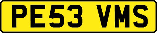 PE53VMS