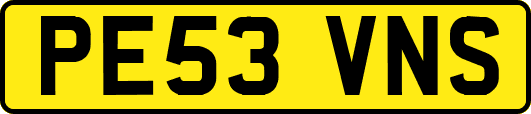 PE53VNS