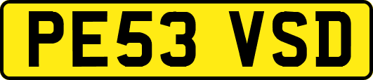 PE53VSD