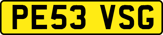 PE53VSG