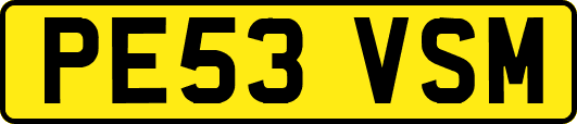 PE53VSM