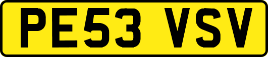 PE53VSV