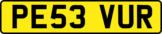 PE53VUR