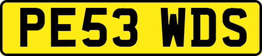 PE53WDS