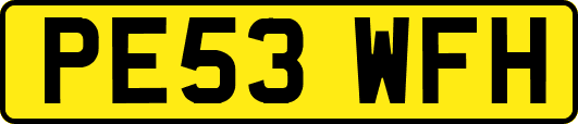 PE53WFH