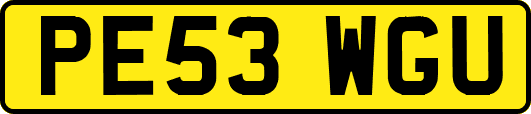 PE53WGU