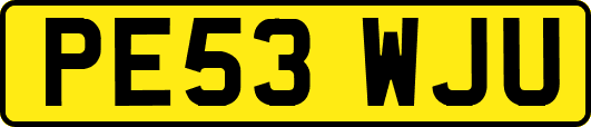 PE53WJU