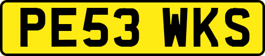PE53WKS