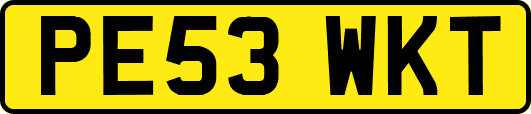 PE53WKT