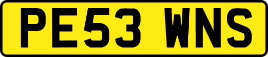 PE53WNS