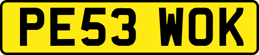 PE53WOK