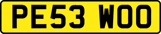 PE53WOO