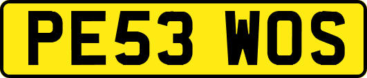 PE53WOS