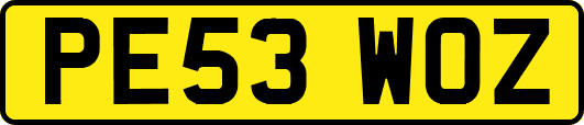 PE53WOZ