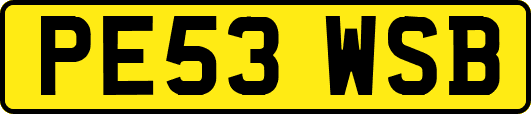 PE53WSB