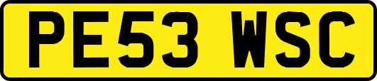 PE53WSC
