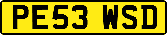 PE53WSD