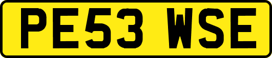PE53WSE