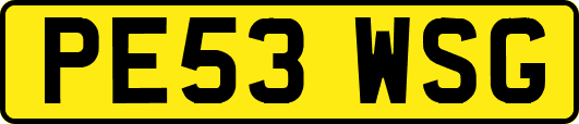 PE53WSG