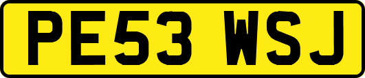 PE53WSJ