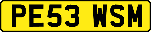 PE53WSM