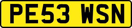 PE53WSN