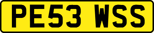PE53WSS