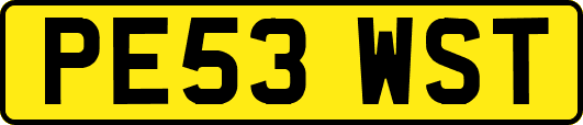 PE53WST
