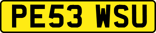 PE53WSU