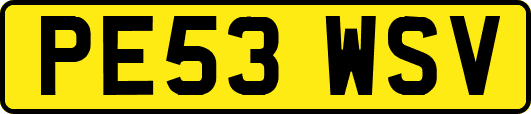 PE53WSV