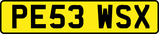 PE53WSX